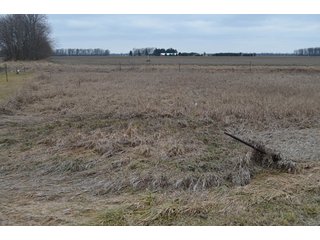 Property photo 16 - 175 Acres Offered in 5 Tracts - Tontogany, Ohio Farm Land Auction